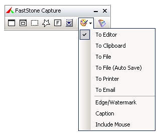 FastStone Capture - volba uložení screenshotu